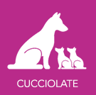 Allevamento Pinscher Lazio: House of Angels
