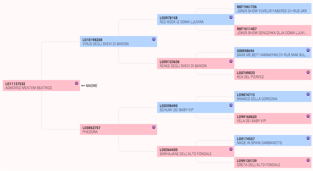 pedigree-easy1
