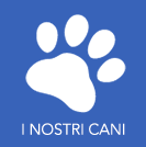 Allevamento Pinscher Lazio: House of Angels