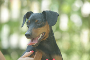SISSI TU Y YO