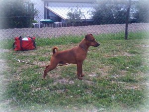 yago2
