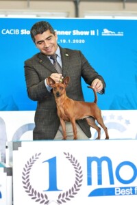 slovenia con sergio