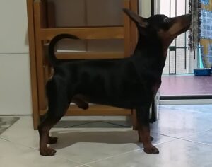 Argo