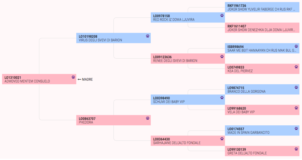 lucy-alberogenealogicopedigree